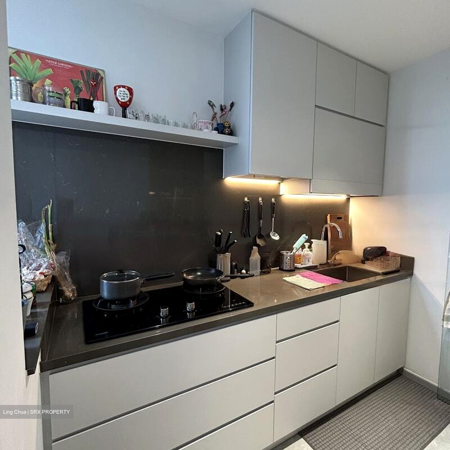 The Equatorial (D10), Condominium #453567971